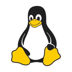 Fundamentos Linux